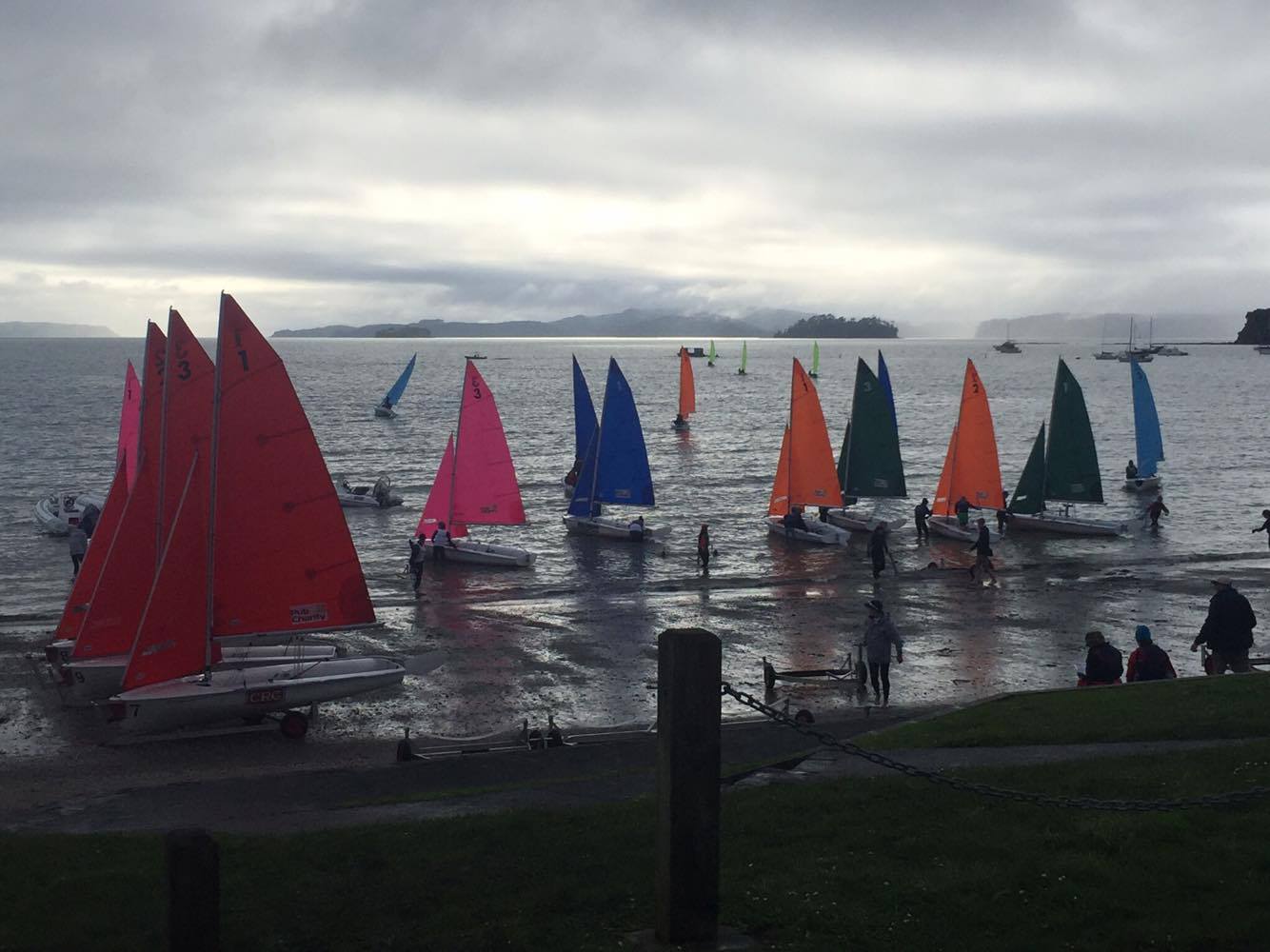 The fleet of 420s on shore at Alges Bay, New Zealand for this year's Pacific Rim International Teams Racing Regatta.