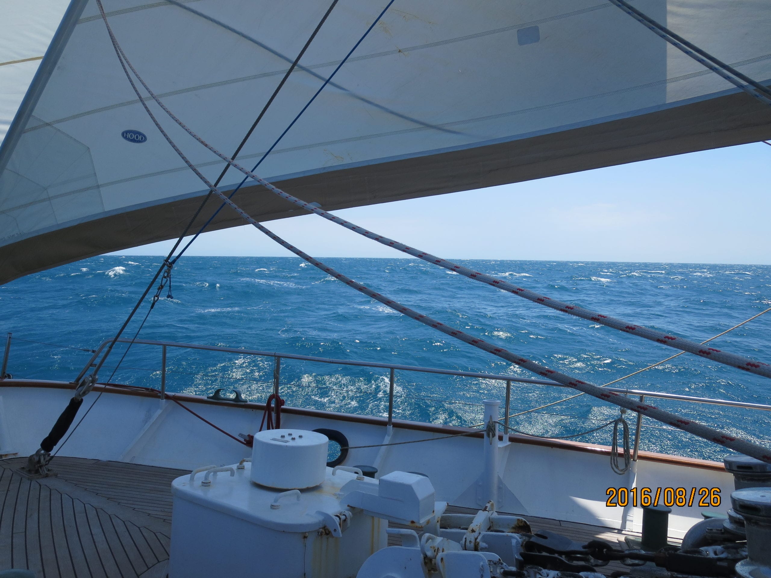 During the 11-day voyage, Issy got the opportunity to climb the mast and also helm the boat.