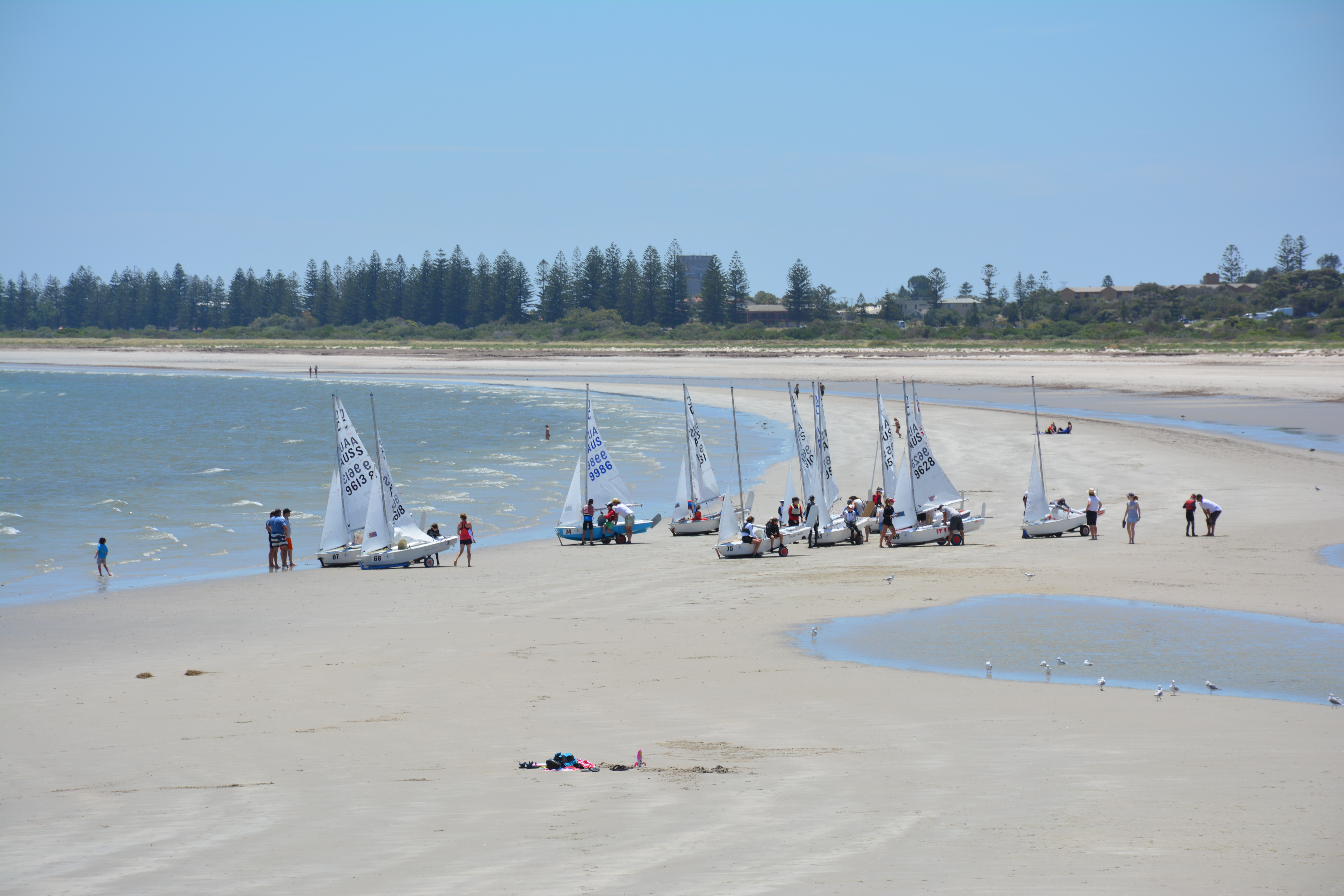 The stretch of beach at Largs Bay is perfect for hosting regattas.