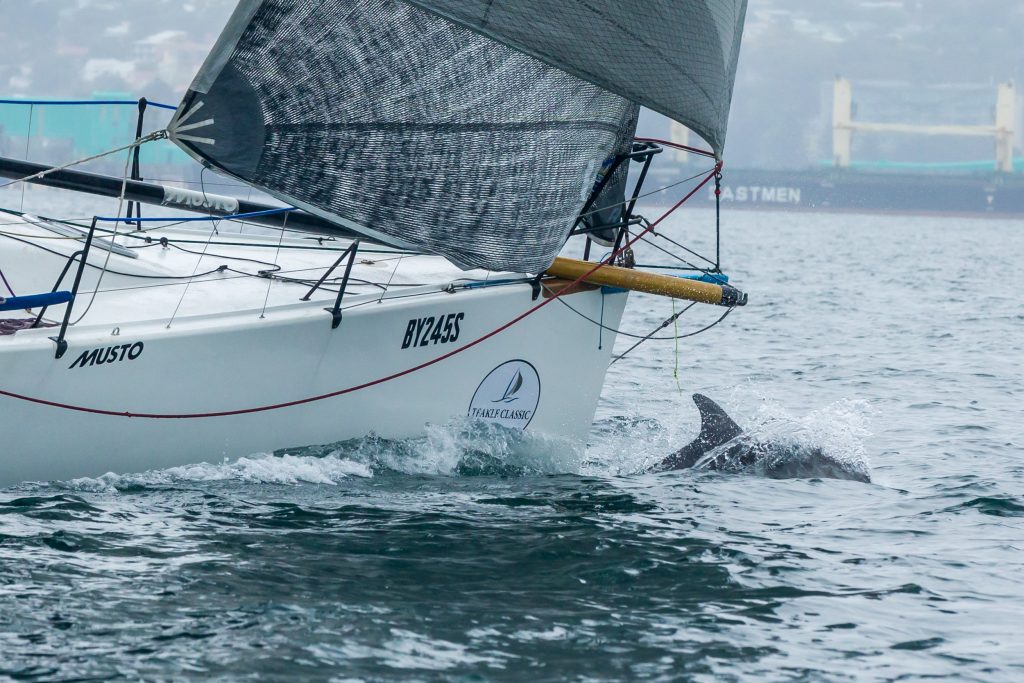 Dolphins jumped up at the bow of Aikin Hames Sharley. Photos: Take 2 Photography